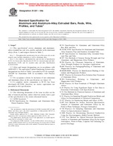 NEPLATNÁ ASTM B221-04a 5.10.2004 náhled