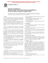 NEPLATNÁ ASTM B858-01 10.10.2001 náhled