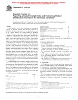 NEPLATNÁ ASTM C1239-00 10.10.2000 náhled