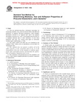 NEPLATNÁ ASTM C1523-02a 10.5.2002 náhled