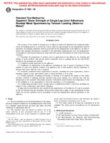 NEPLATNÁ ASTM D1002-99 10.10.2001 náhled