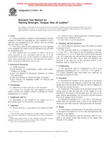 NEPLATNÁ ASTM D4704-00 10.9.2000 náhled