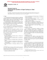 NEPLATNÁ ASTM D5065-01 10.6.2001 náhled