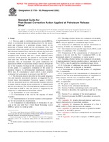 Náhled ASTM E1739-95(2002) 10.9.1995