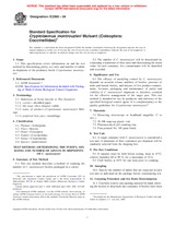 Náhled ASTM E2360-04 1.4.2004