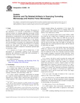 Náhled ASTM E2382-04 1.8.2004