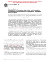 Náhled ASTM E2531-06 1.11.2006