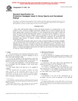 NEPLATNÁ ASTM F1163-04 1.6.2004 náhled