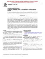 NEPLATNÁ ASTM F1163-04a 1.12.2004 náhled