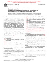 NEPLATNÁ ASTM F1216-08 1.11.2008 náhled