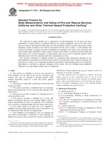 NEPLATNÁ ASTM F1731-96(2002) 10.8.1996 náhled