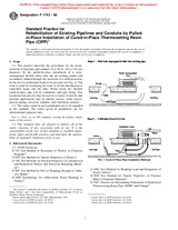 NEPLATNÁ ASTM F1743-96 10.11.1996 náhled