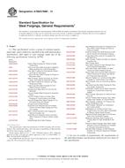 NEPLATNÁ ASTM A788/A788M-13 1.11.2013 náhled