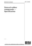 Norma BS 1154:2003 18.6.2003 náhled