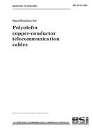 Náhled BS 3573:1990 31.5.1990