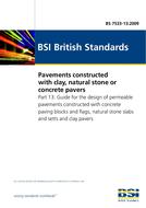 Náhled BS 7533-13:2009 31.3.2009