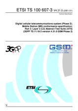 ETSI TS 100607-3-V4.31.0 31.1.2001