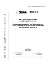 Náhled IEEE/NACE 1895-2014 1.5.2015